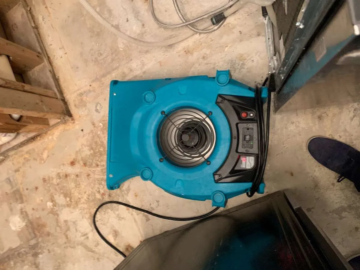 Air mover drying equipment for Mold Remediation & Removal in Sandy Oaks